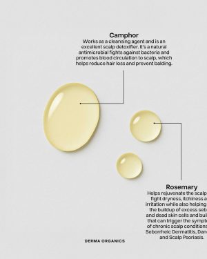 Swatch-Ingredients-Images_Hair-Food-Elixir