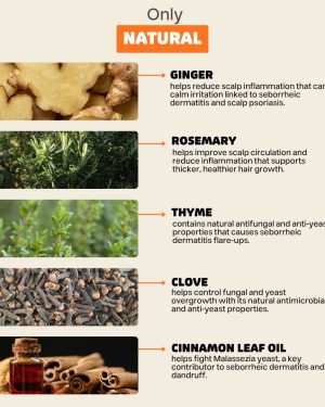 scalp-stimulating-treatment-4